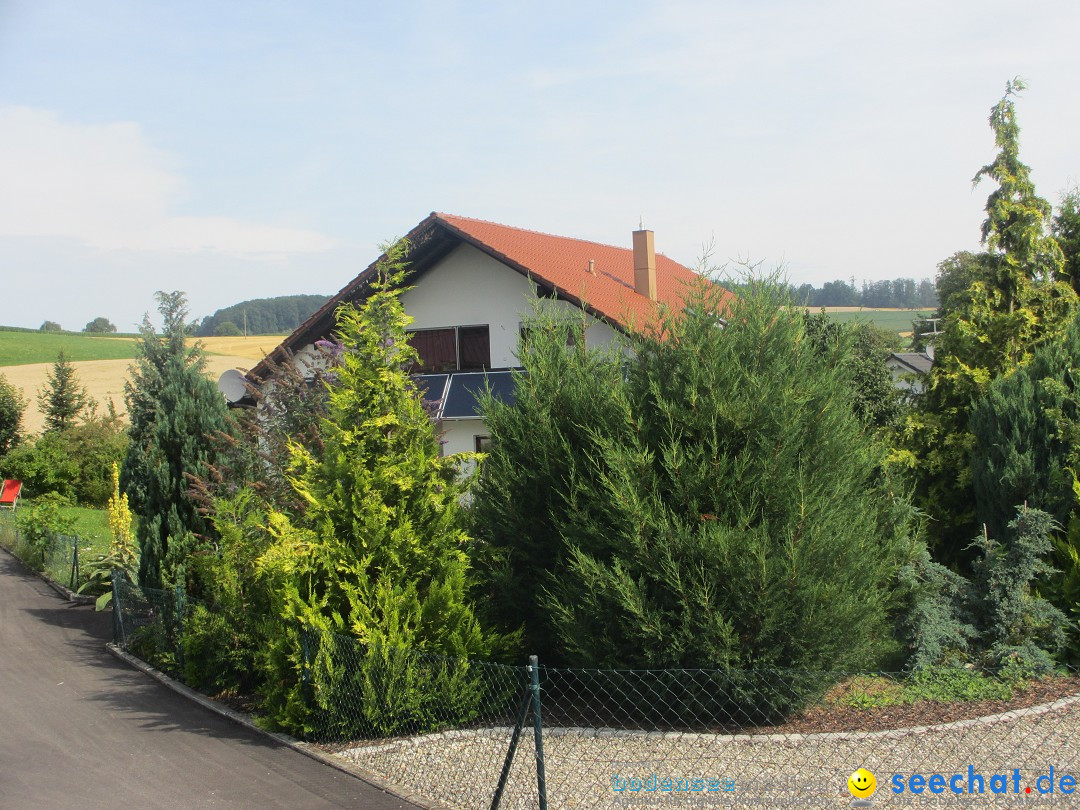 Volksmarsch 10KM und 5KM: Zizenhausen am Bodensee, 20.07.2014