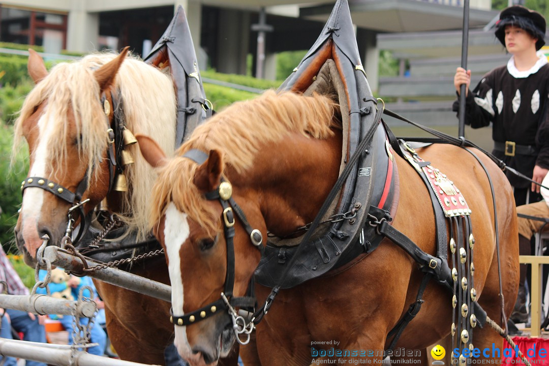 Schuetzenfest-Biberach-22-07-2014-Bodensee-Community-SEECHAT_DE-IMG_8186.JPG