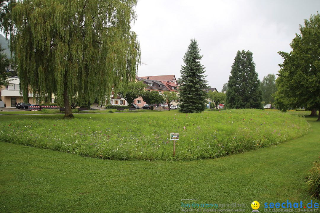 SWR3 SUMMERSHOT - Beach Open Air: Bodman am Bodensee, 26.07.2014