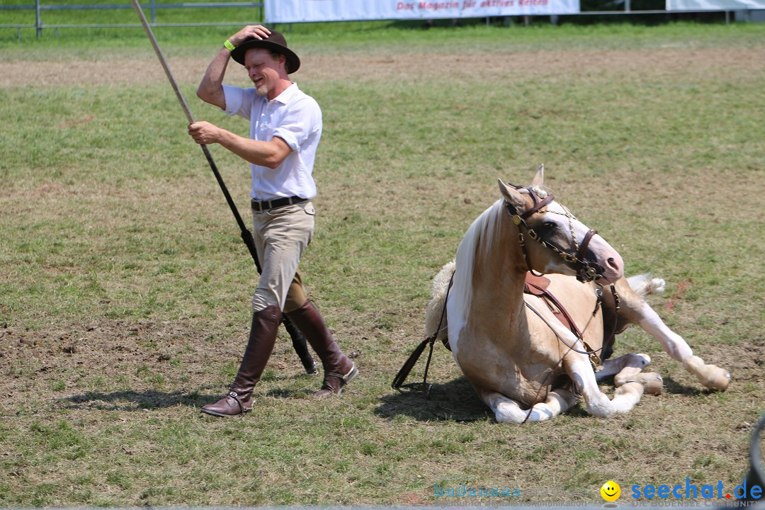 eurocheval - Europamesse des Pferdes - seechat: Offenburg, 27.07.2014