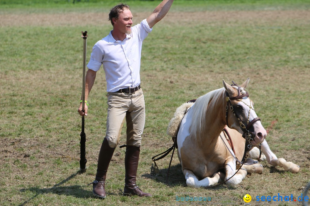 eurocheval - Europamesse des Pferdes - seechat: Offenburg, 27.07.2014