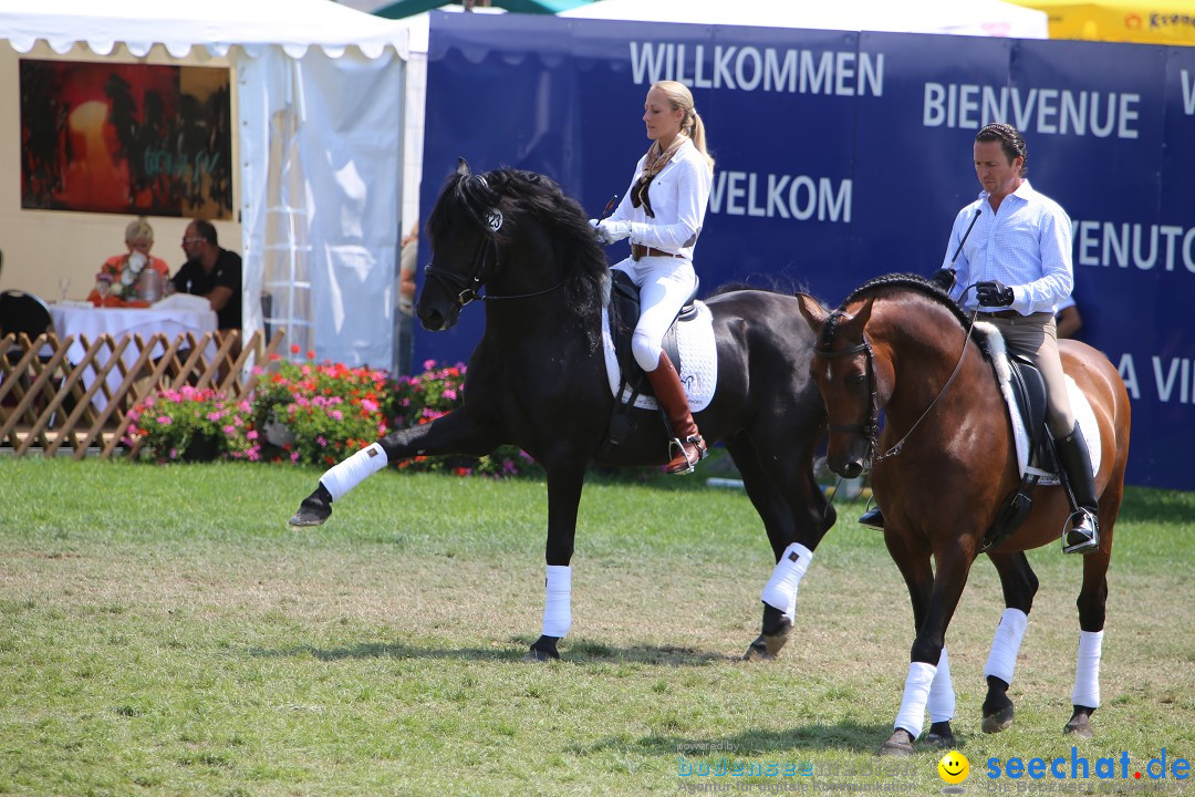 eurocheval - Europamesse des Pferdes - seechat: Offenburg, 27.07.2014