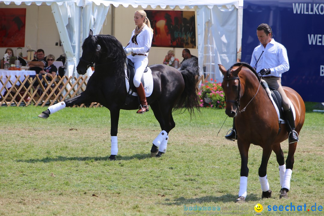 eurocheval - Europamesse des Pferdes - seechat: Offenburg, 27.07.2014