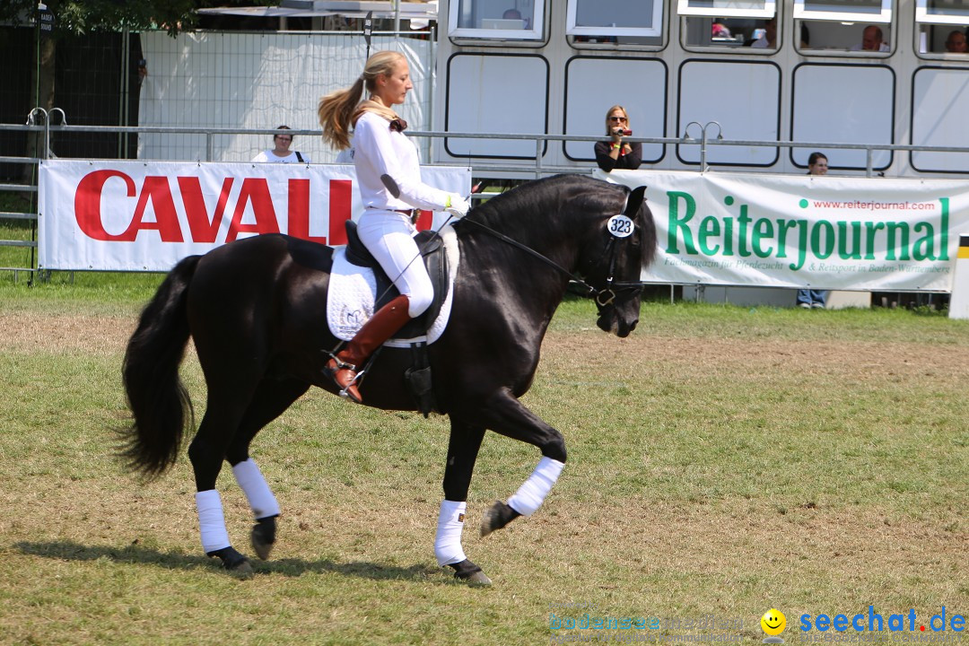 eurocheval - Europamesse des Pferdes - seechat: Offenburg, 27.07.2014