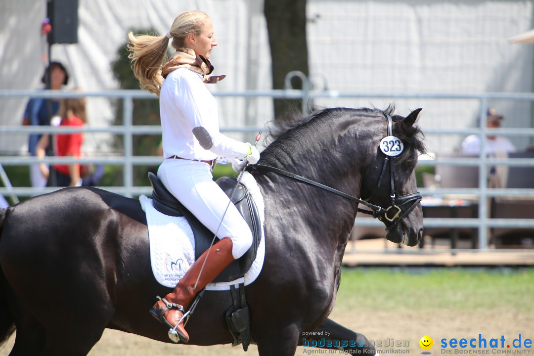 eurocheval - Europamesse des Pferdes - seechat: Offenburg, 27.07.2014