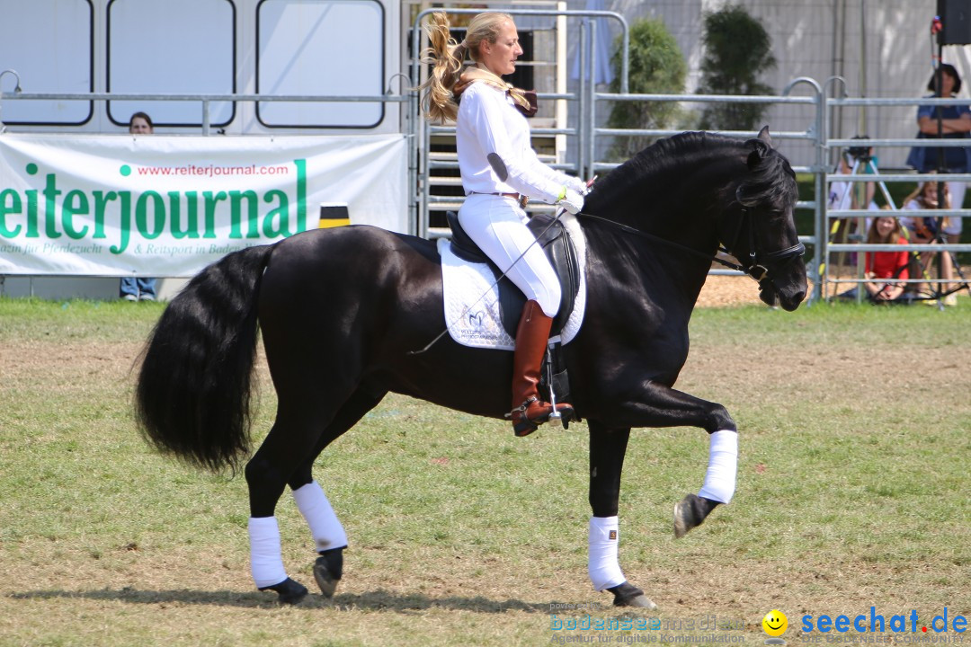 eurocheval - Europamesse des Pferdes - seechat: Offenburg, 27.07.2014