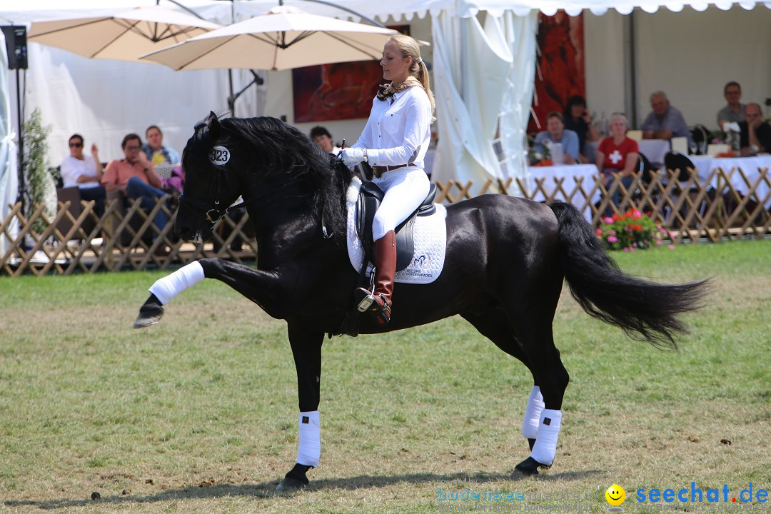 eurocheval - Europamesse des Pferdes - seechat: Offenburg, 27.07.2014