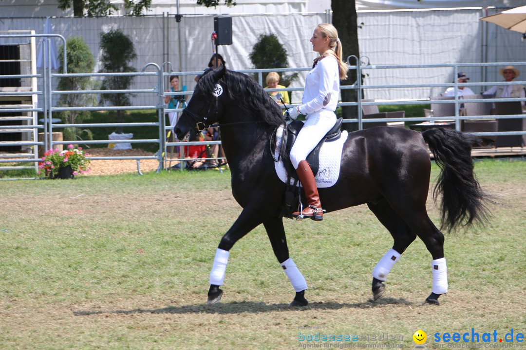 eurocheval - Europamesse des Pferdes - seechat: Offenburg, 27.07.2014