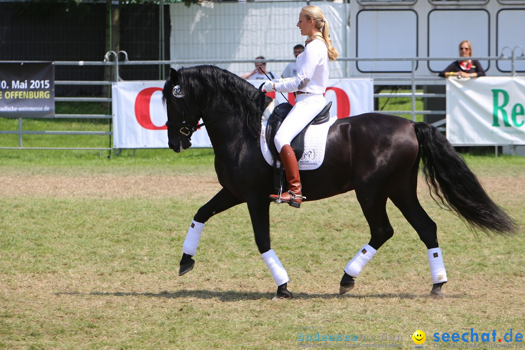 eurocheval - Europamesse des Pferdes - seechat: Offenburg, 27.07.2014