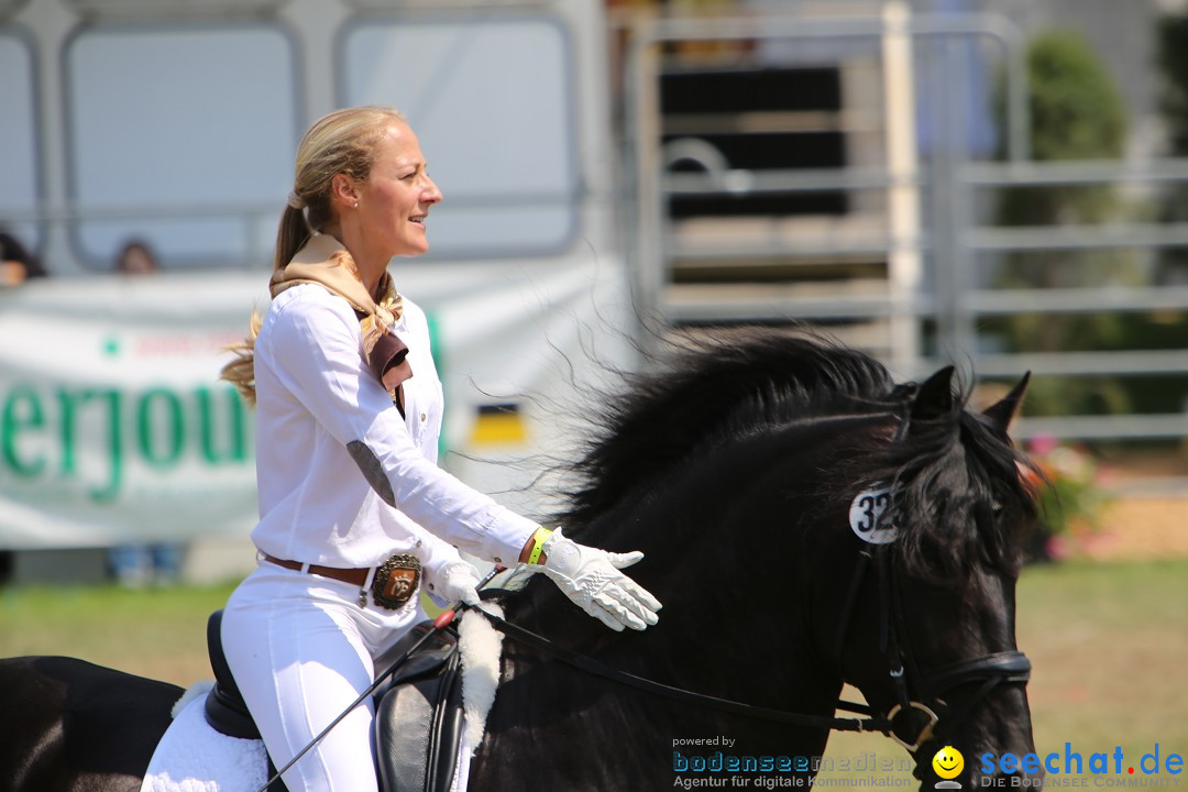 eurocheval - Europamesse des Pferdes - seechat: Offenburg, 27.07.2014