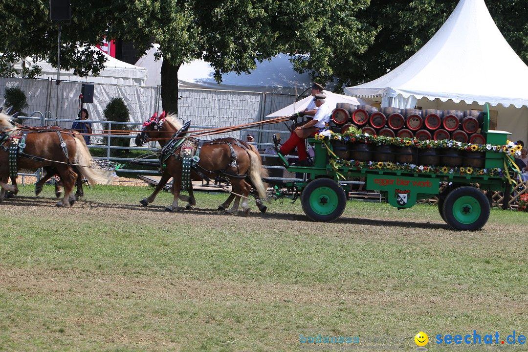 eurocheval - Europamesse des Pferdes - seechat: Offenburg, 27.07.2014