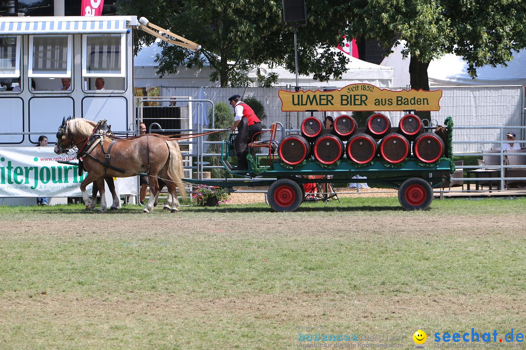 eurocheval - Europamesse des Pferdes - seechat: Offenburg, 27.07.2014