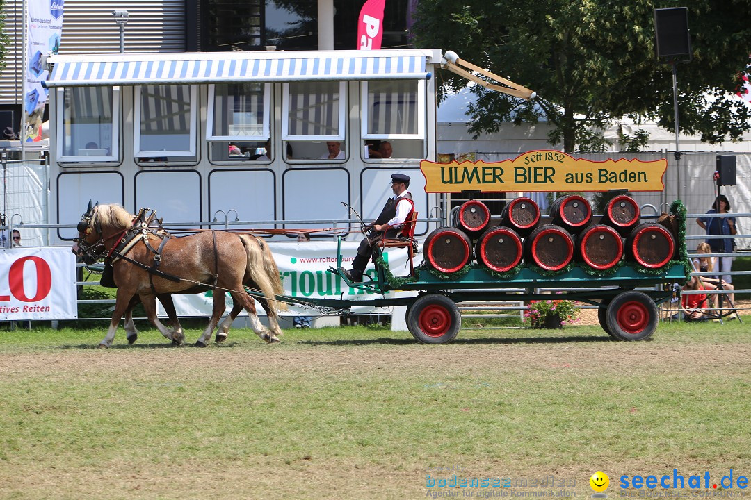 eurocheval - Europamesse des Pferdes - seechat: Offenburg, 27.07.2014