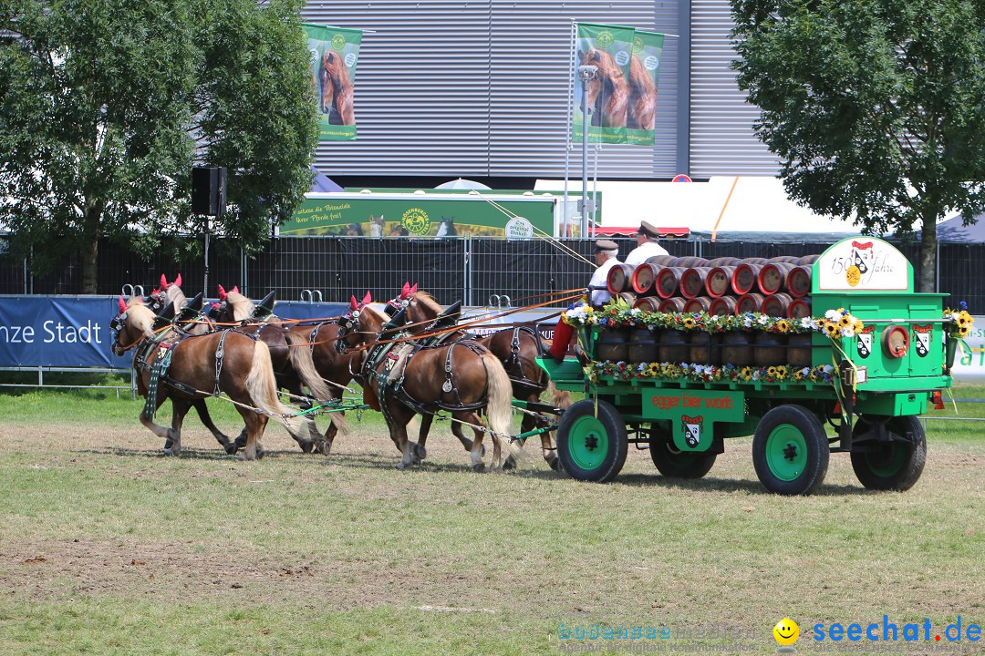 eurocheval - Europamesse des Pferdes - seechat: Offenburg, 27.07.2014