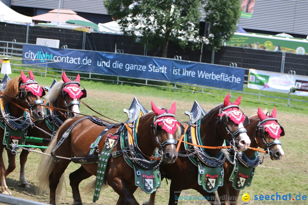 eurocheval - Europamesse des Pferdes - seechat: Offenburg, 27.07.2014