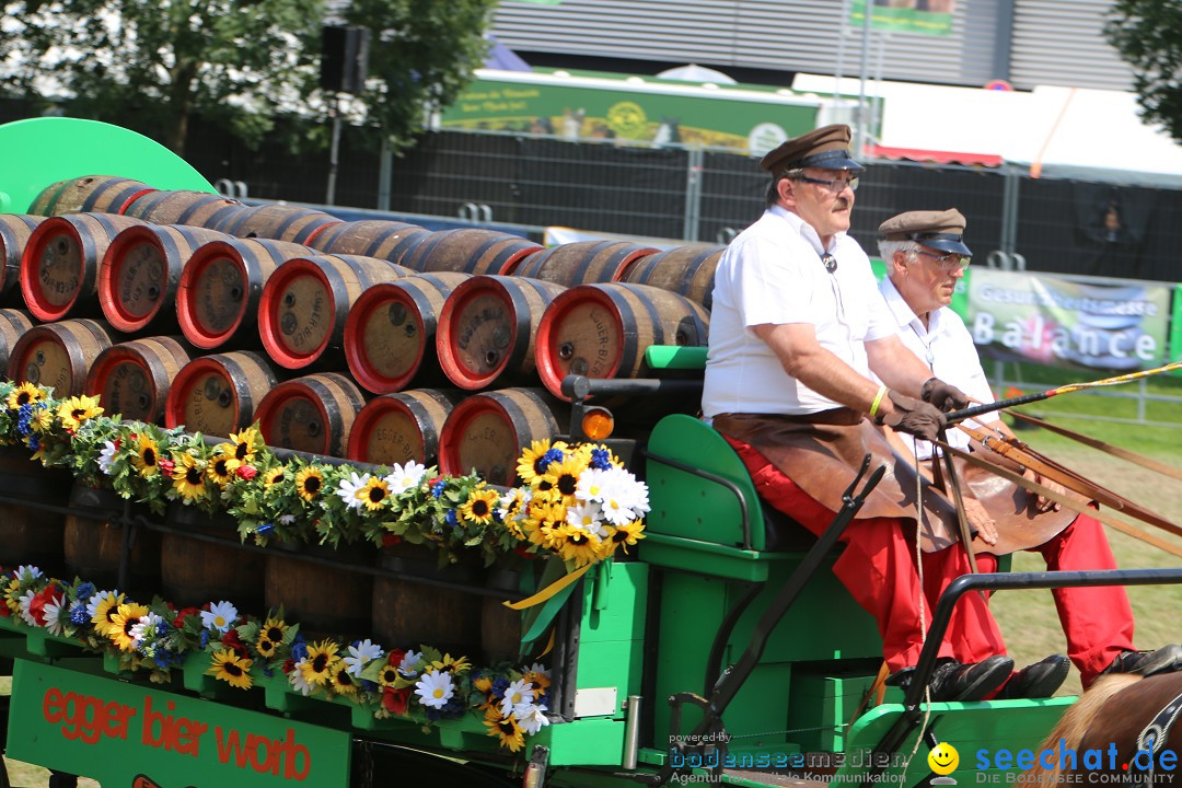 eurocheval - Europamesse des Pferdes - seechat: Offenburg, 27.07.2014