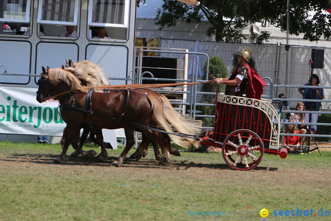 eurocheval - Europamesse des Pferdes - seechat: Offenburg, 27.07.2014