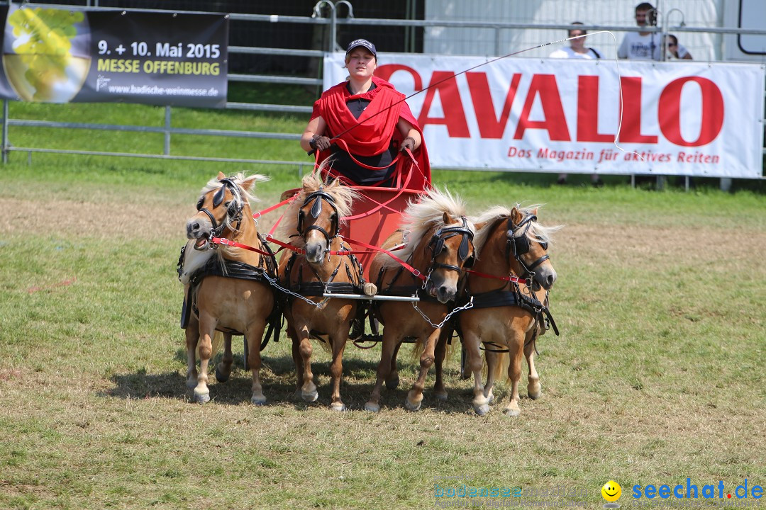 eurocheval - Europamesse des Pferdes - seechat: Offenburg, 27.07.2014