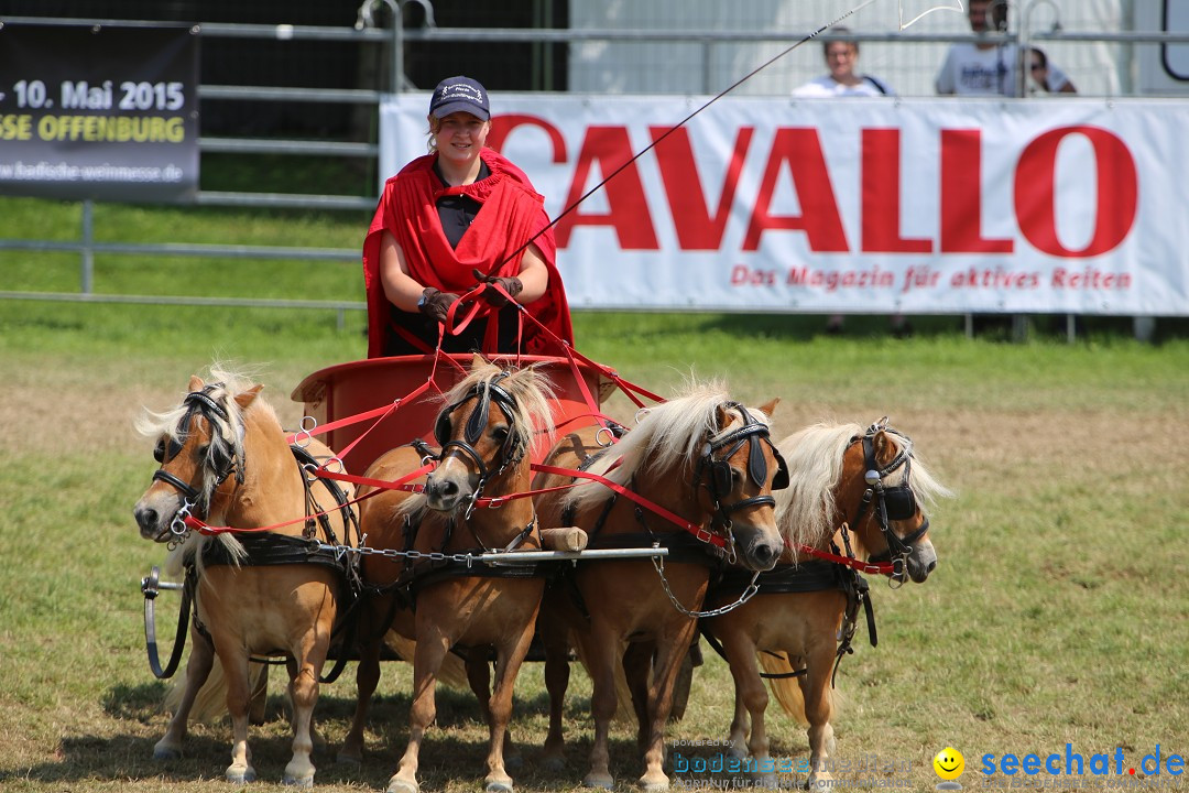 eurocheval - Europamesse des Pferdes - seechat: Offenburg, 27.07.2014