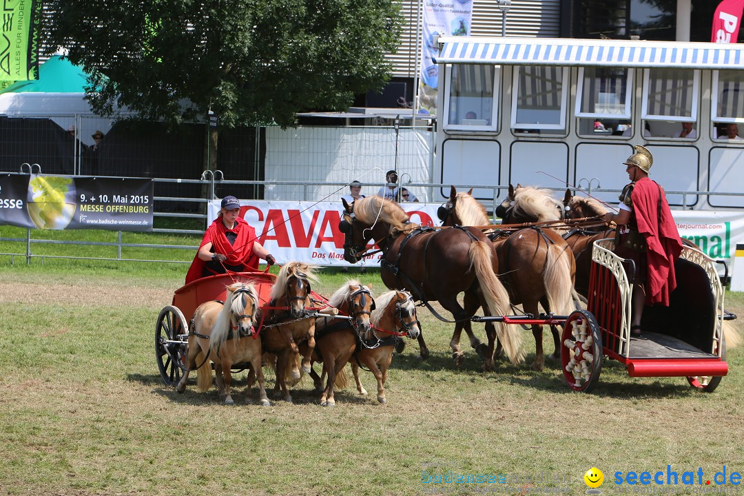 eurocheval - Europamesse des Pferdes - seechat: Offenburg, 27.07.2014