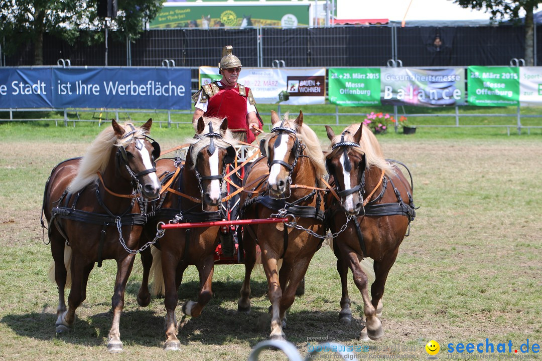 eurocheval - Europamesse des Pferdes - seechat: Offenburg, 27.07.2014