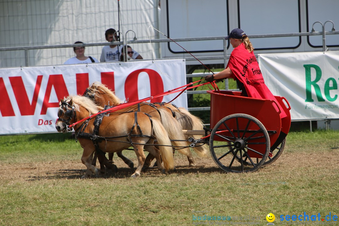 eurocheval - Europamesse des Pferdes - seechat: Offenburg, 27.07.2014