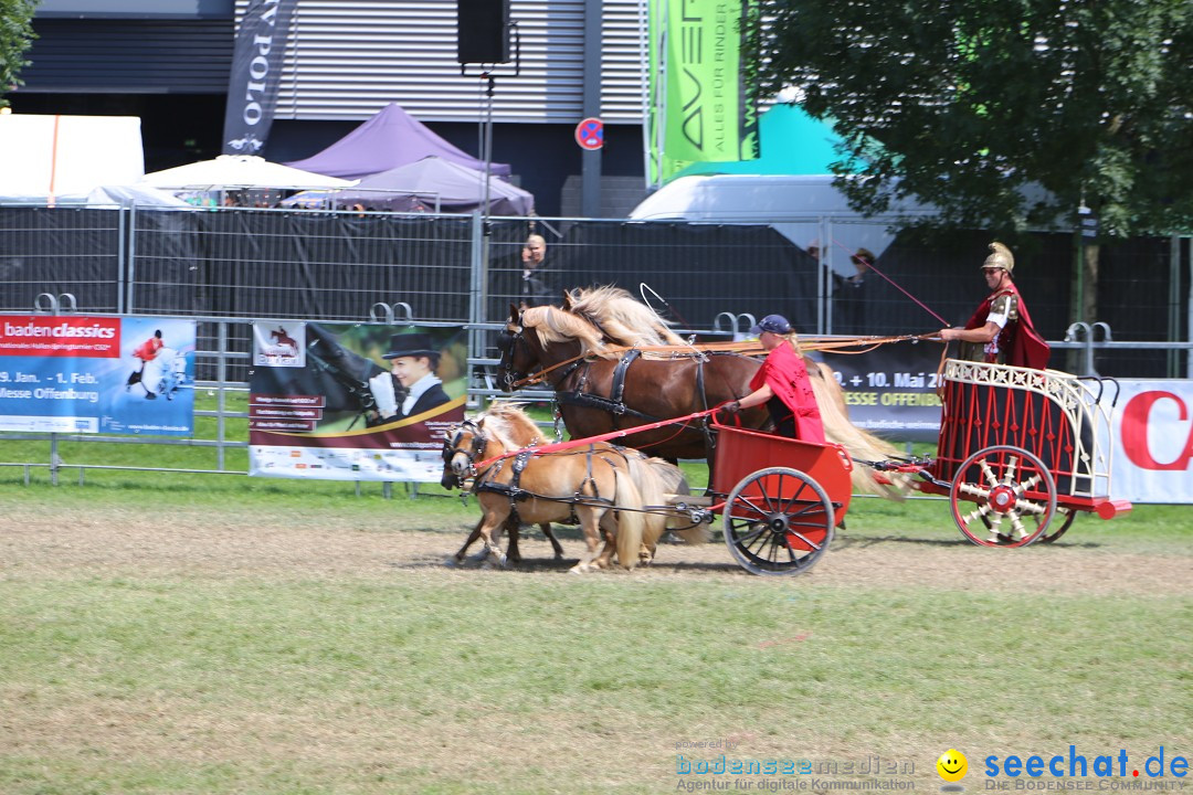 eurocheval - Europamesse des Pferdes - seechat: Offenburg, 27.07.2014