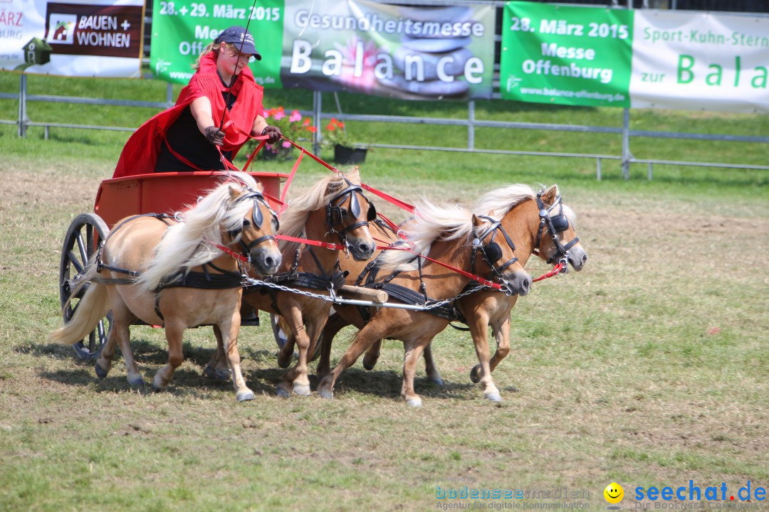 eurocheval - Europamesse des Pferdes - seechat: Offenburg, 27.07.2014