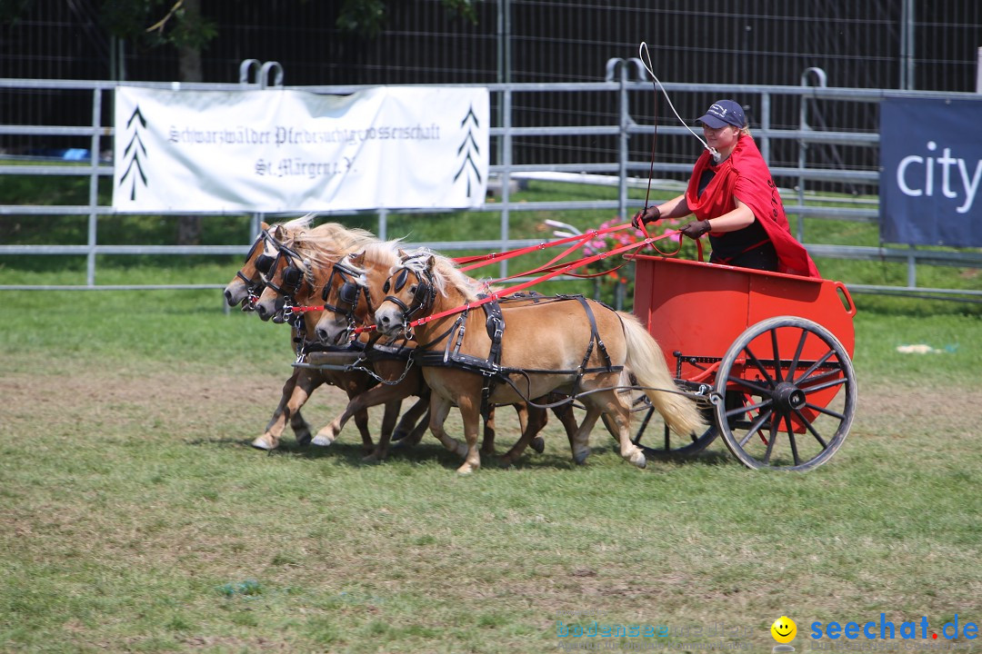 eurocheval - Europamesse des Pferdes - seechat: Offenburg, 27.07.2014