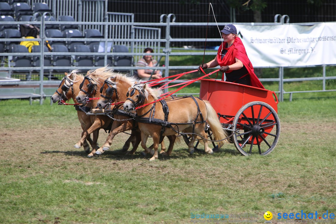 eurocheval - Europamesse des Pferdes - seechat: Offenburg, 27.07.2014