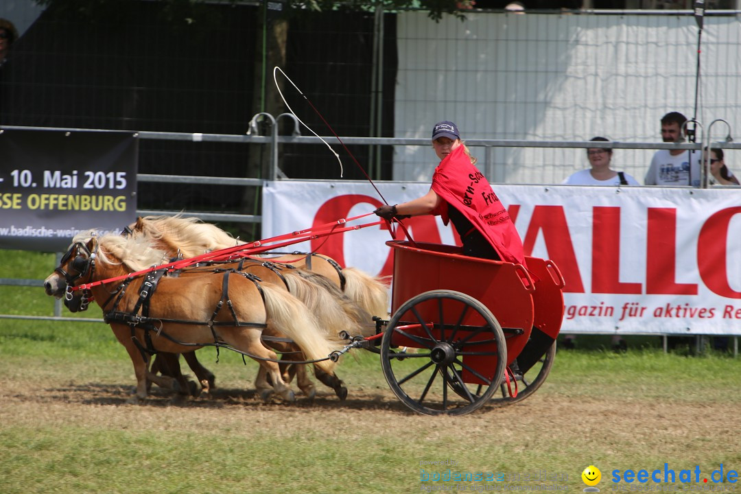 eurocheval - Europamesse des Pferdes - seechat: Offenburg, 27.07.2014