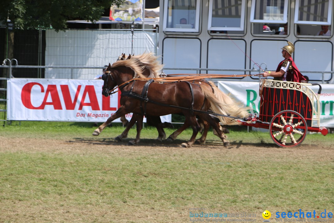 eurocheval - Europamesse des Pferdes - seechat: Offenburg, 27.07.2014