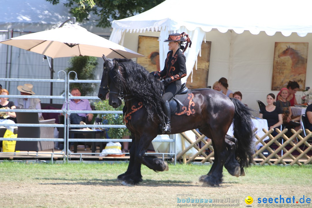 eurocheval - Europamesse des Pferdes - seechat: Offenburg, 27.07.2014