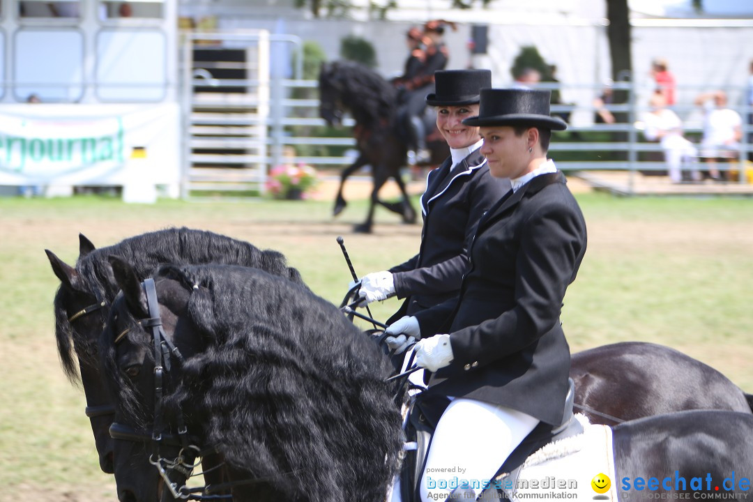 eurocheval - Europamesse des Pferdes - seechat: Offenburg, 27.07.2014