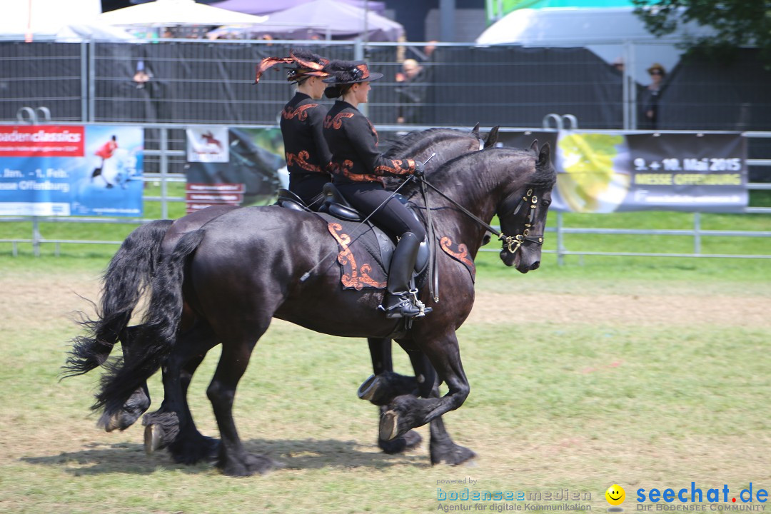 eurocheval - Europamesse des Pferdes - seechat: Offenburg, 27.07.2014