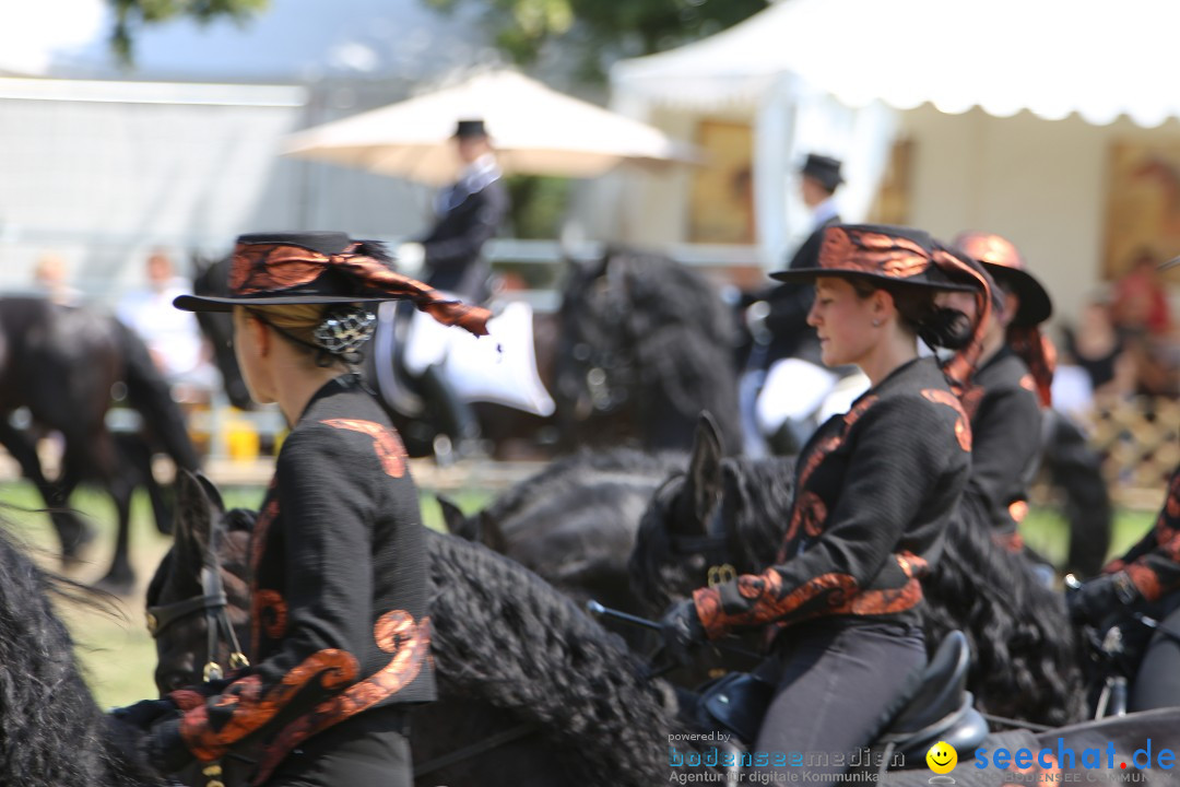 eurocheval - Europamesse des Pferdes - seechat: Offenburg, 27.07.2014