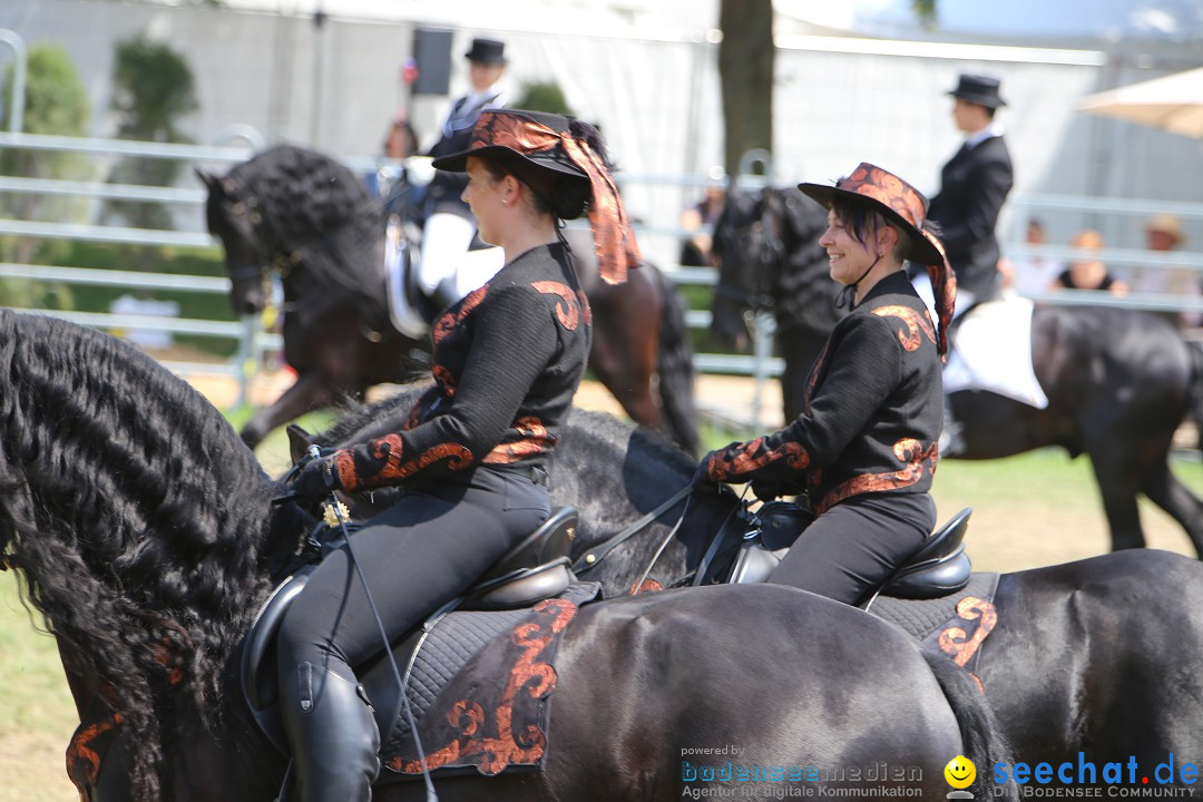 eurocheval - Europamesse des Pferdes - seechat: Offenburg, 27.07.2014