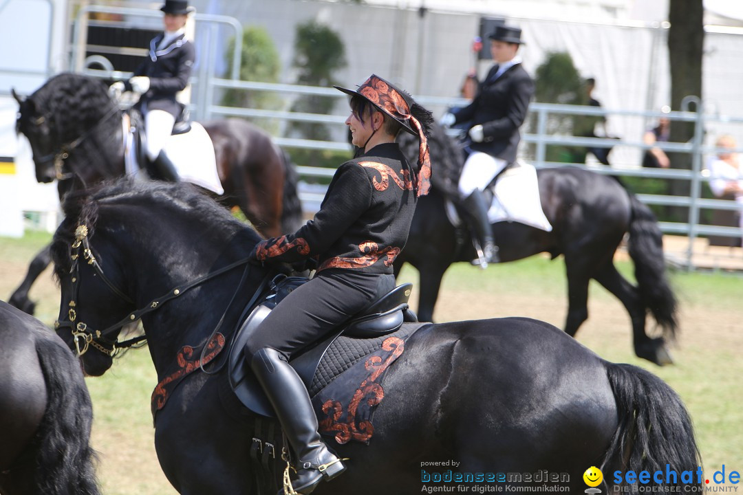 eurocheval - Europamesse des Pferdes - seechat: Offenburg, 27.07.2014