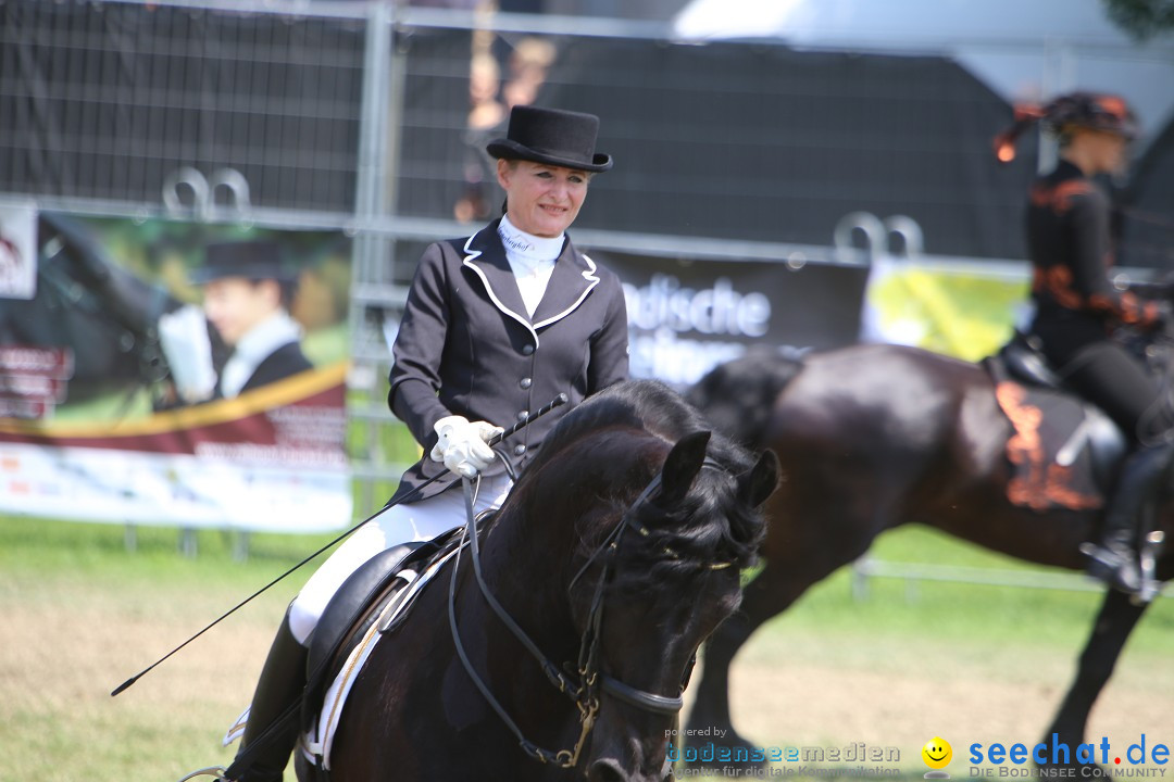 eurocheval - Europamesse des Pferdes - seechat: Offenburg, 27.07.2014