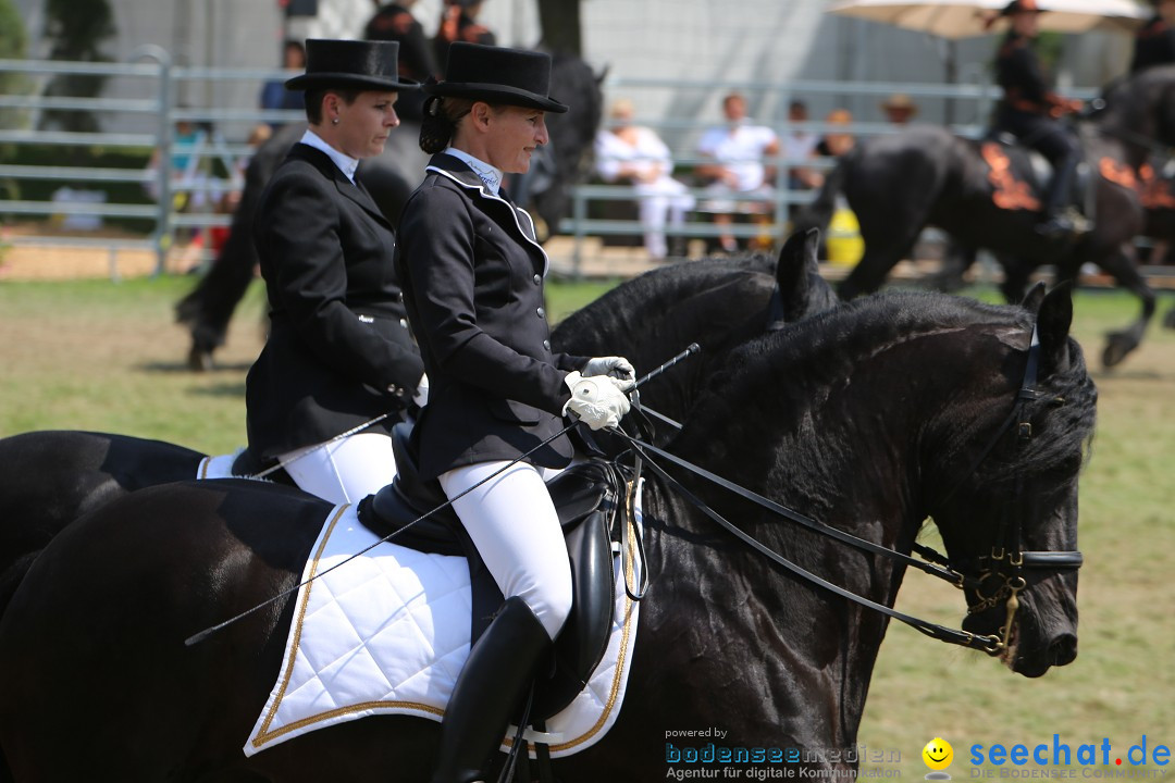 eurocheval - Europamesse des Pferdes - seechat: Offenburg, 27.07.2014