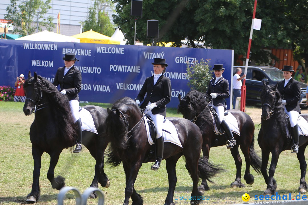 eurocheval - Europamesse des Pferdes - seechat: Offenburg, 27.07.2014