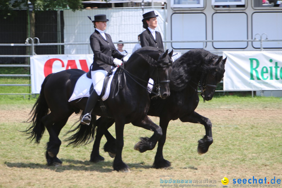 eurocheval - Europamesse des Pferdes - seechat: Offenburg, 27.07.2014