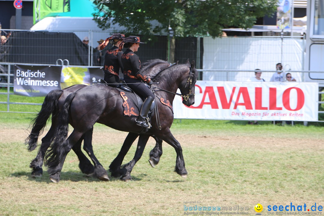 eurocheval - Europamesse des Pferdes - seechat: Offenburg, 27.07.2014