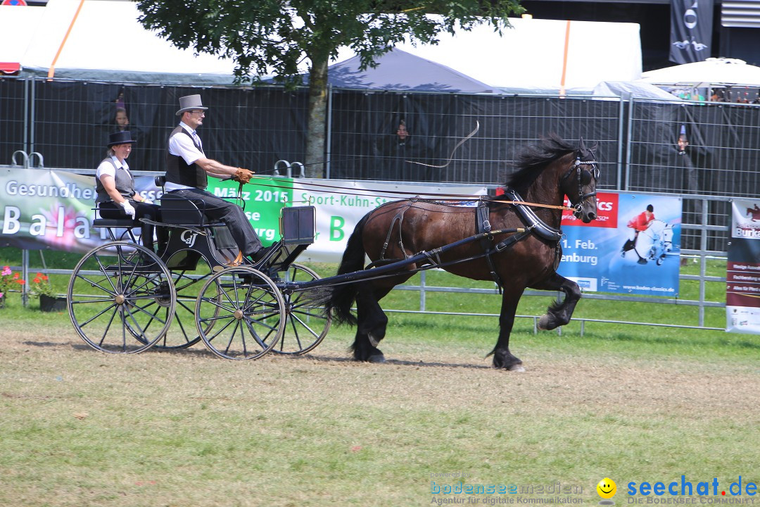 eurocheval - Europamesse des Pferdes - seechat: Offenburg, 27.07.2014