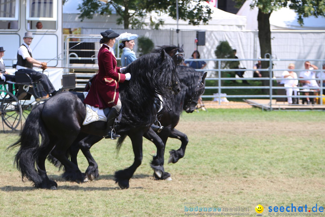 eurocheval - Europamesse des Pferdes - seechat: Offenburg, 27.07.2014