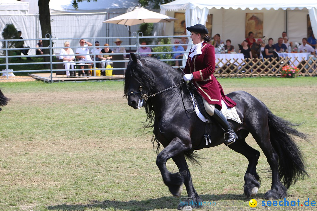 eurocheval - Europamesse des Pferdes - seechat: Offenburg, 27.07.2014