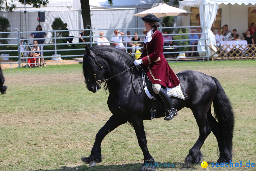 eurocheval - Europamesse des Pferdes - seechat: Offenburg, 27.07.2014