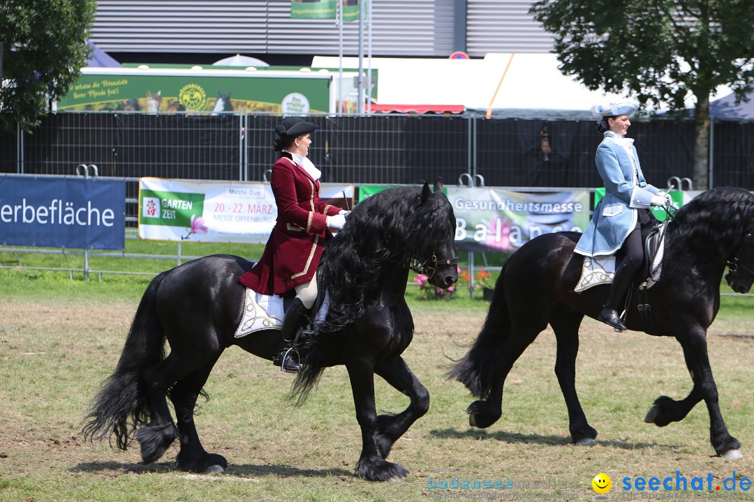 eurocheval - Europamesse des Pferdes - seechat: Offenburg, 27.07.2014