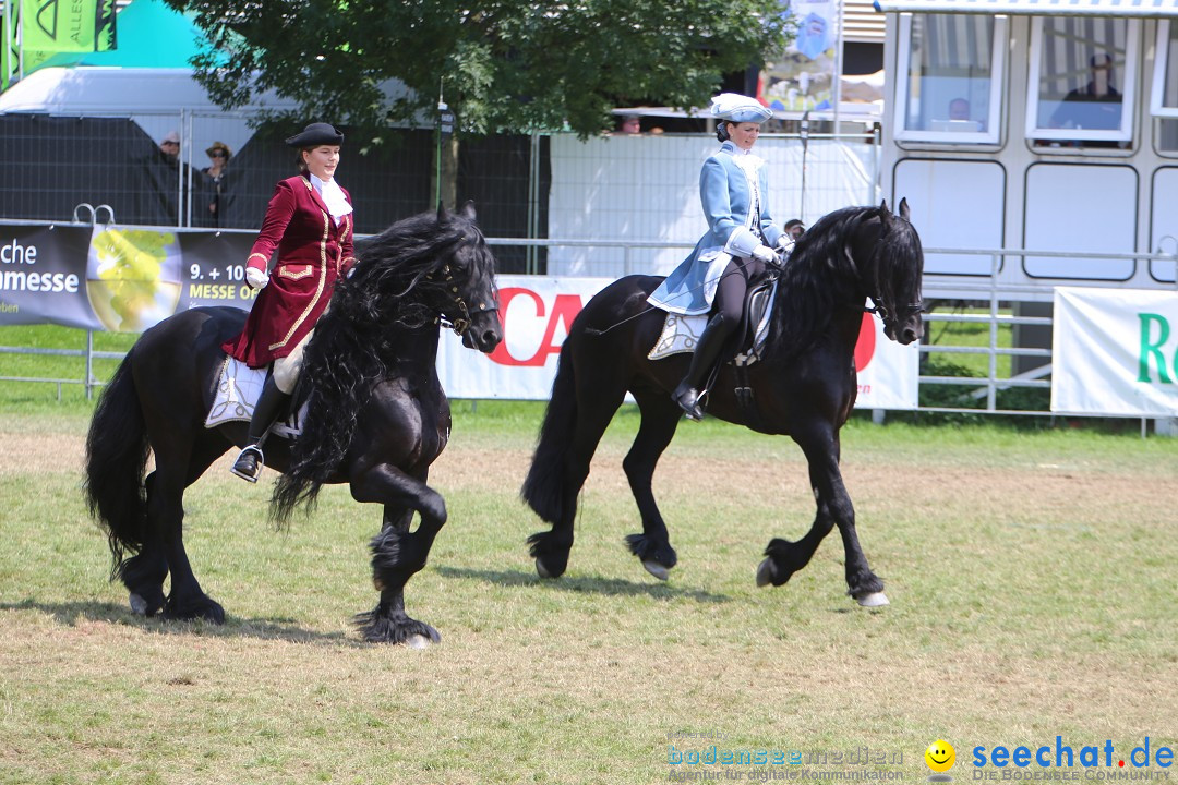 eurocheval - Europamesse des Pferdes - seechat: Offenburg, 27.07.2014