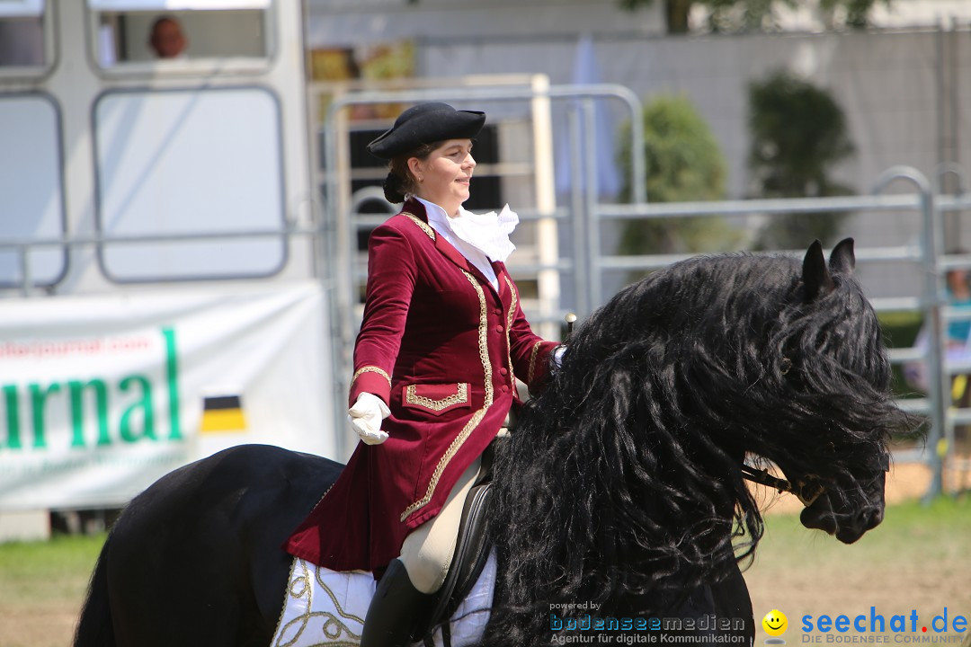 eurocheval - Europamesse des Pferdes - seechat: Offenburg, 27.07.2014